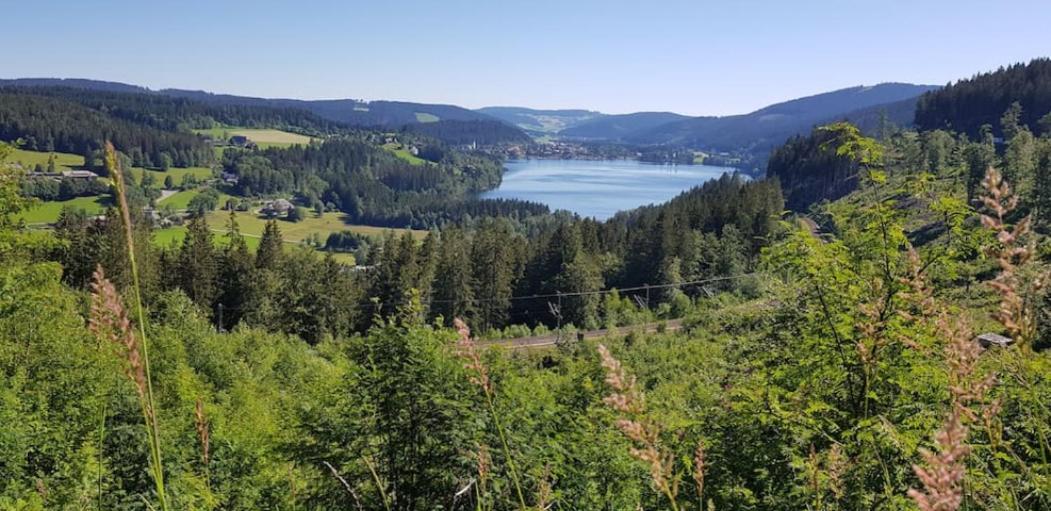 Appartement Black Forest Schwarzwaldblick Indoorpool Natur Ruhe Komfort à Höchenschwand Extérieur photo